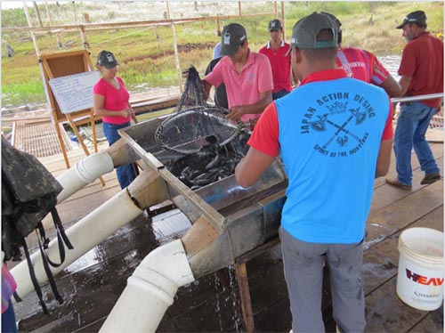 Curso de Piscicultura forma duas turmas em Pedrinópolis