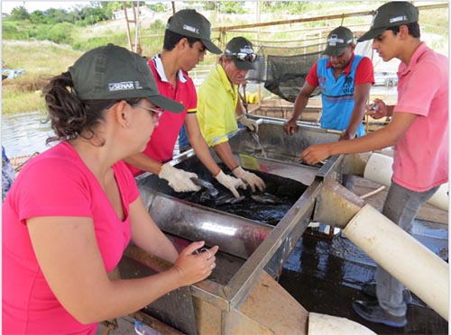 Curso de Piscicultura forma duas turmas em Pedrinópolis