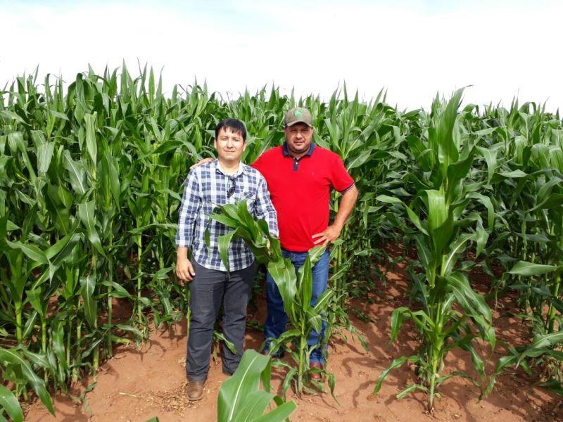 UFTM e Sindicato Rural abrem caminho para a produção de milho em Iturama