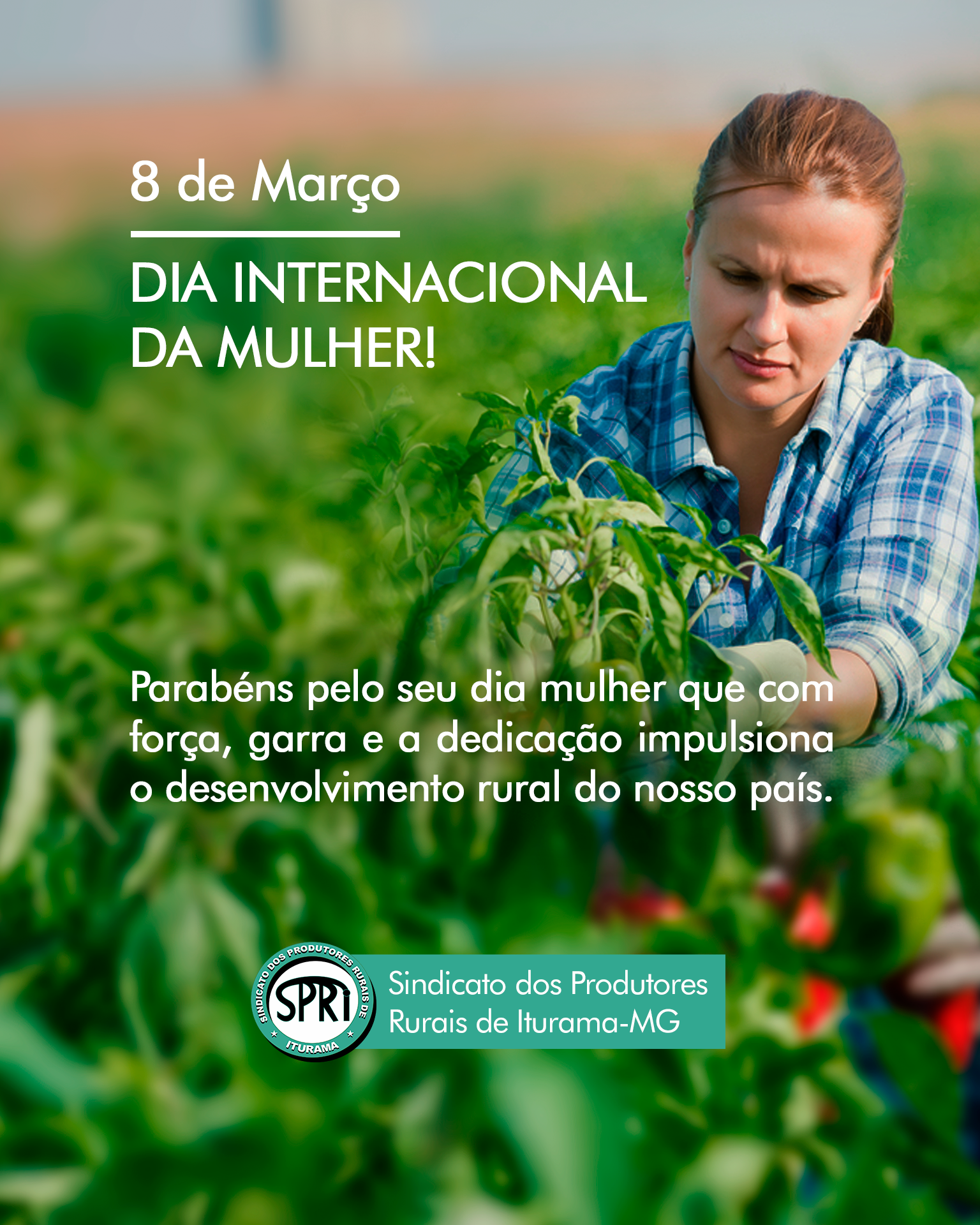 Dia 08 de março - Dia Internacional da Mulher 