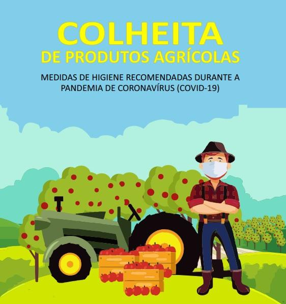 Cartilha reforça cuidados durante a colheita de produtos agrícolas para evitar o coronavírus