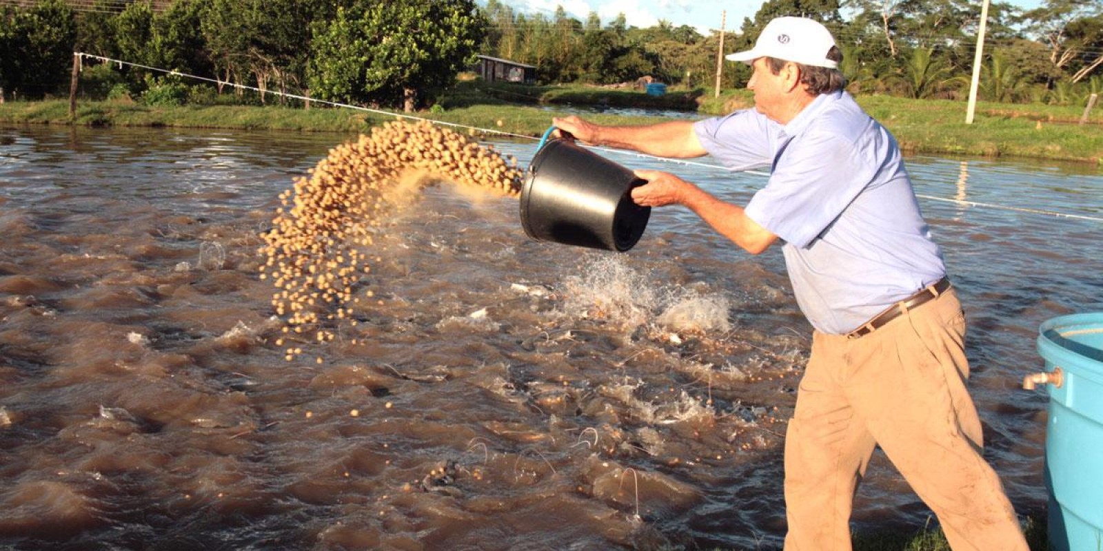 Curso de Piscicultura forma duas turmas em Pedrinópolis