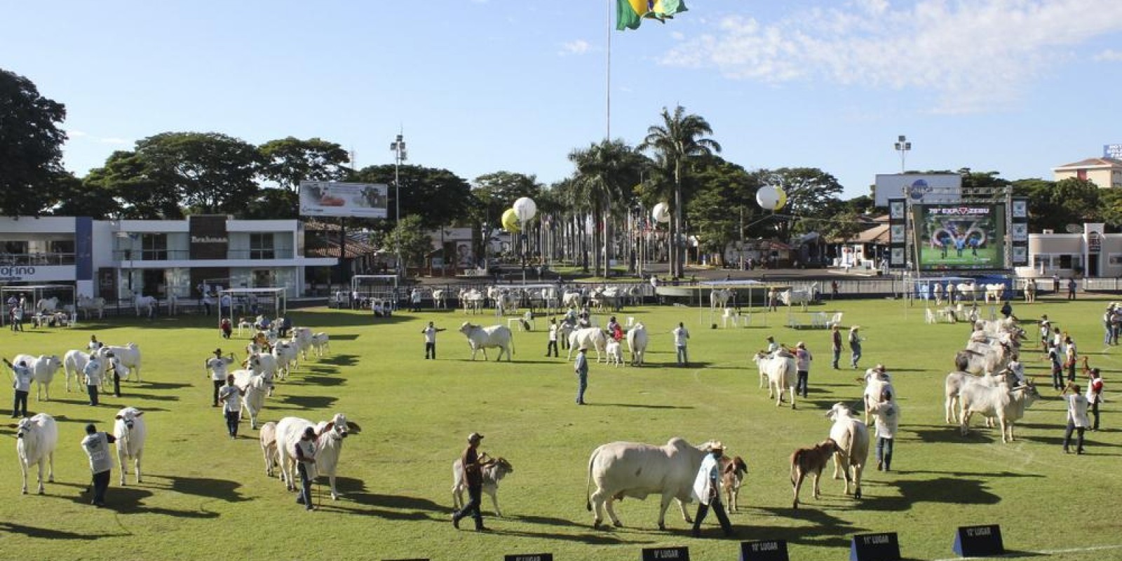 Expozebu 2017 deve movimentar R$ 150 milhões em Uberaba
