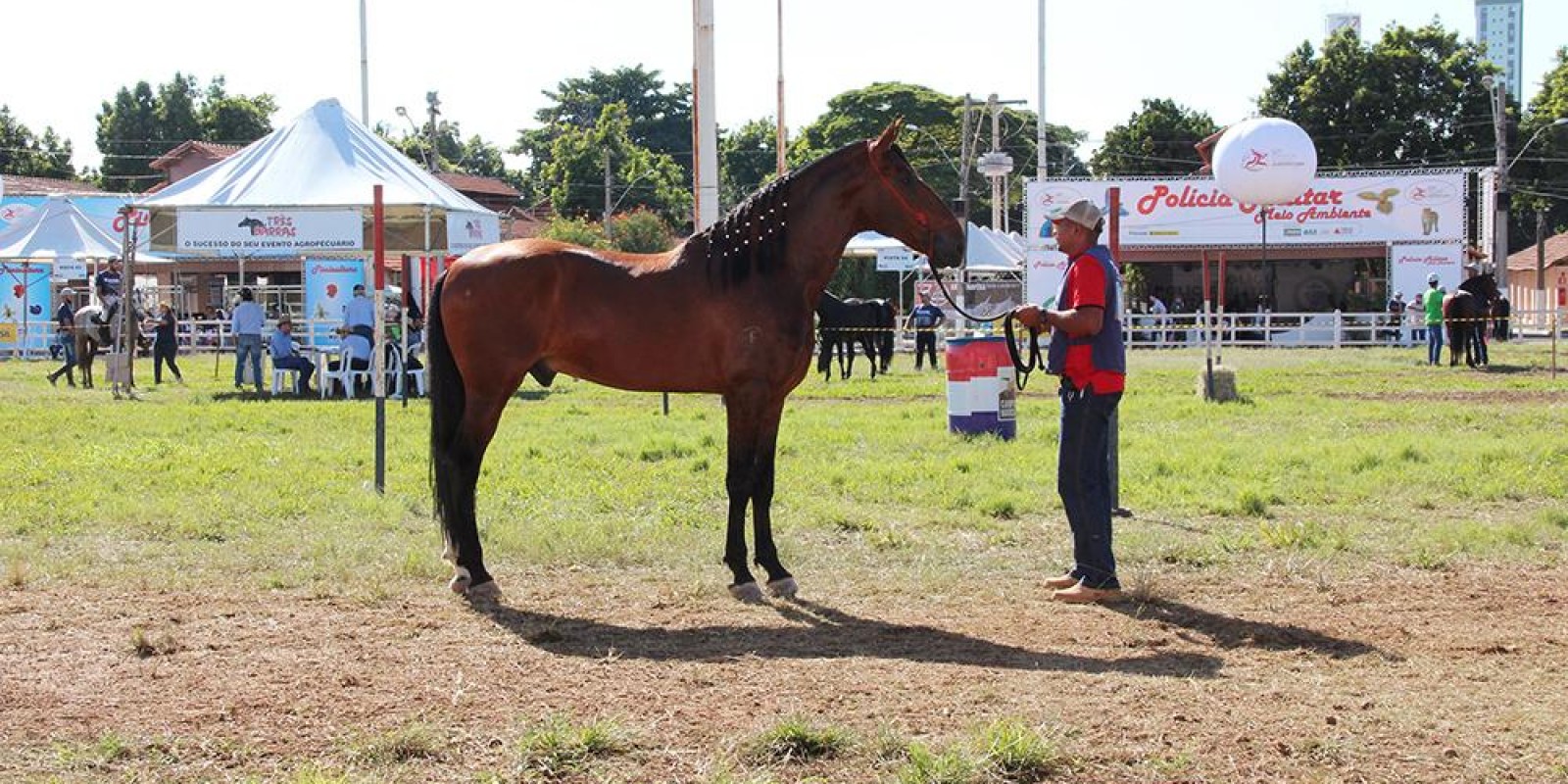 Exposição Agropecuária é sucesso de público e negócios