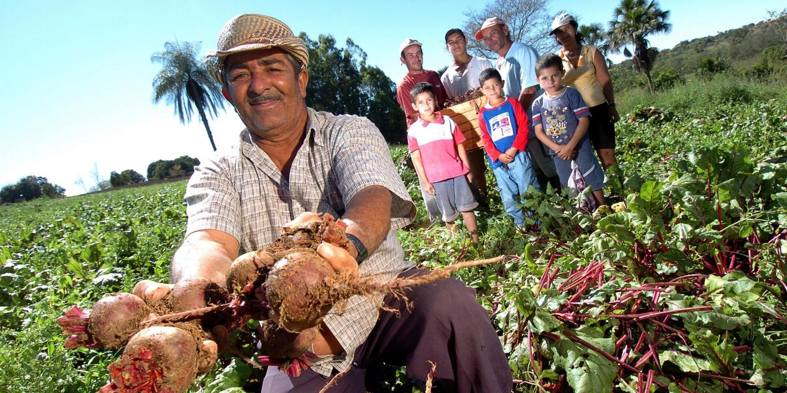 Seaf promove stand da agricultura familiar na Expoagro