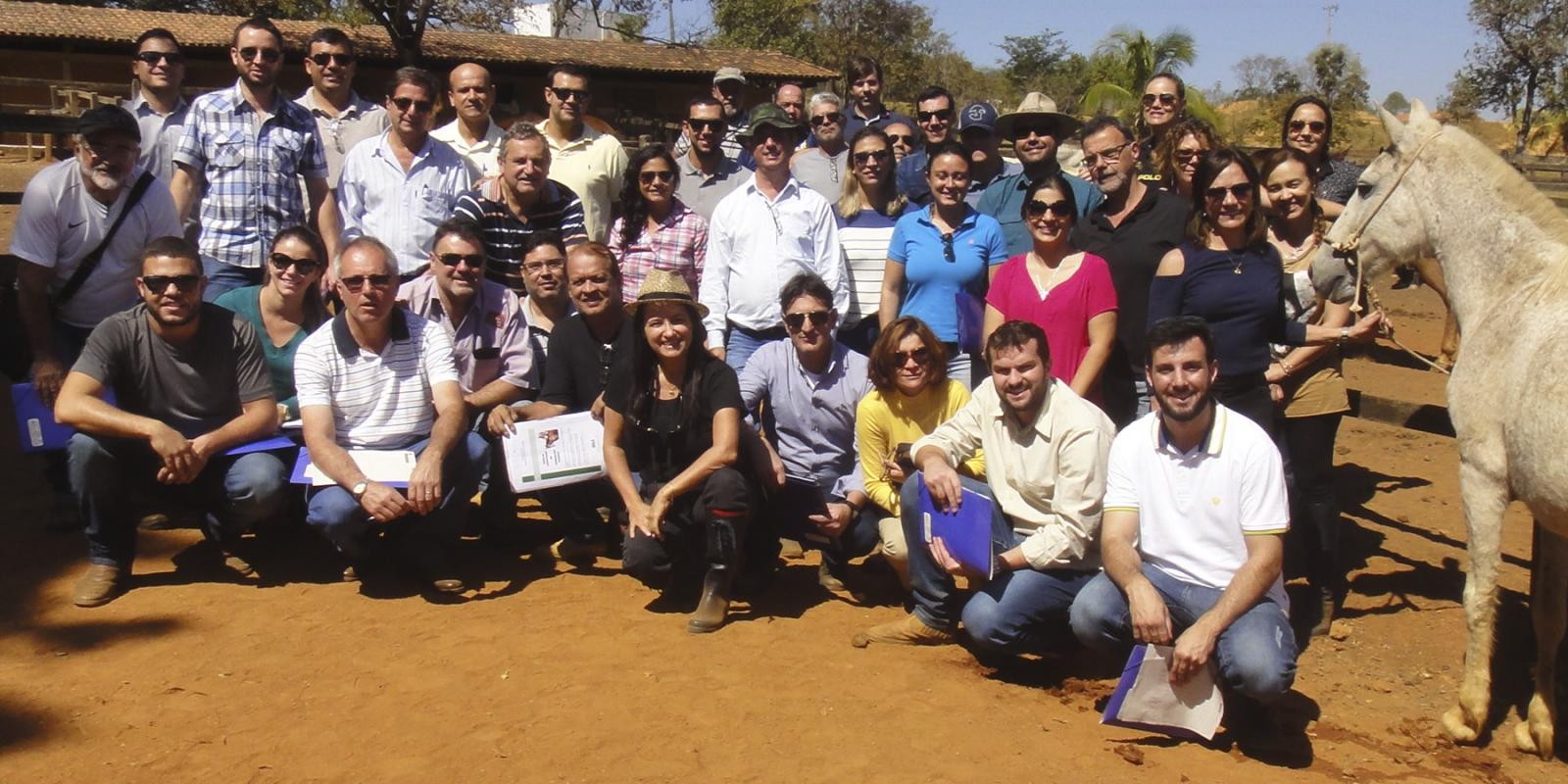 IMA capacita 34 médicos veterinários em sanidade de equídeos 
