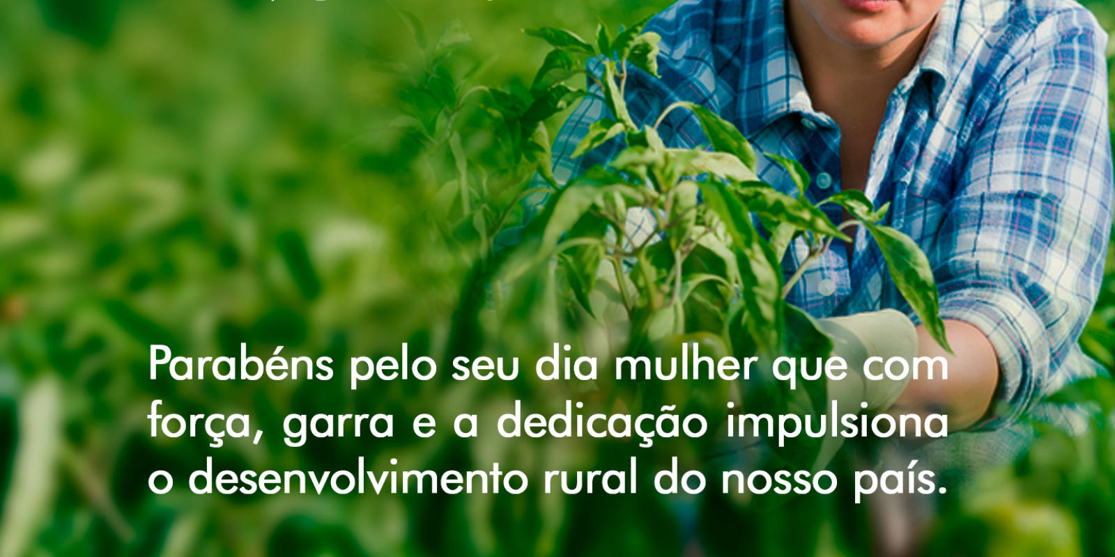 Dia 08 de março - Dia Internacional da Mulher 