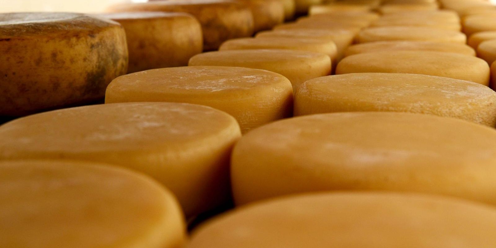 Produção de queijo artesanal ganha mais um incentivo
