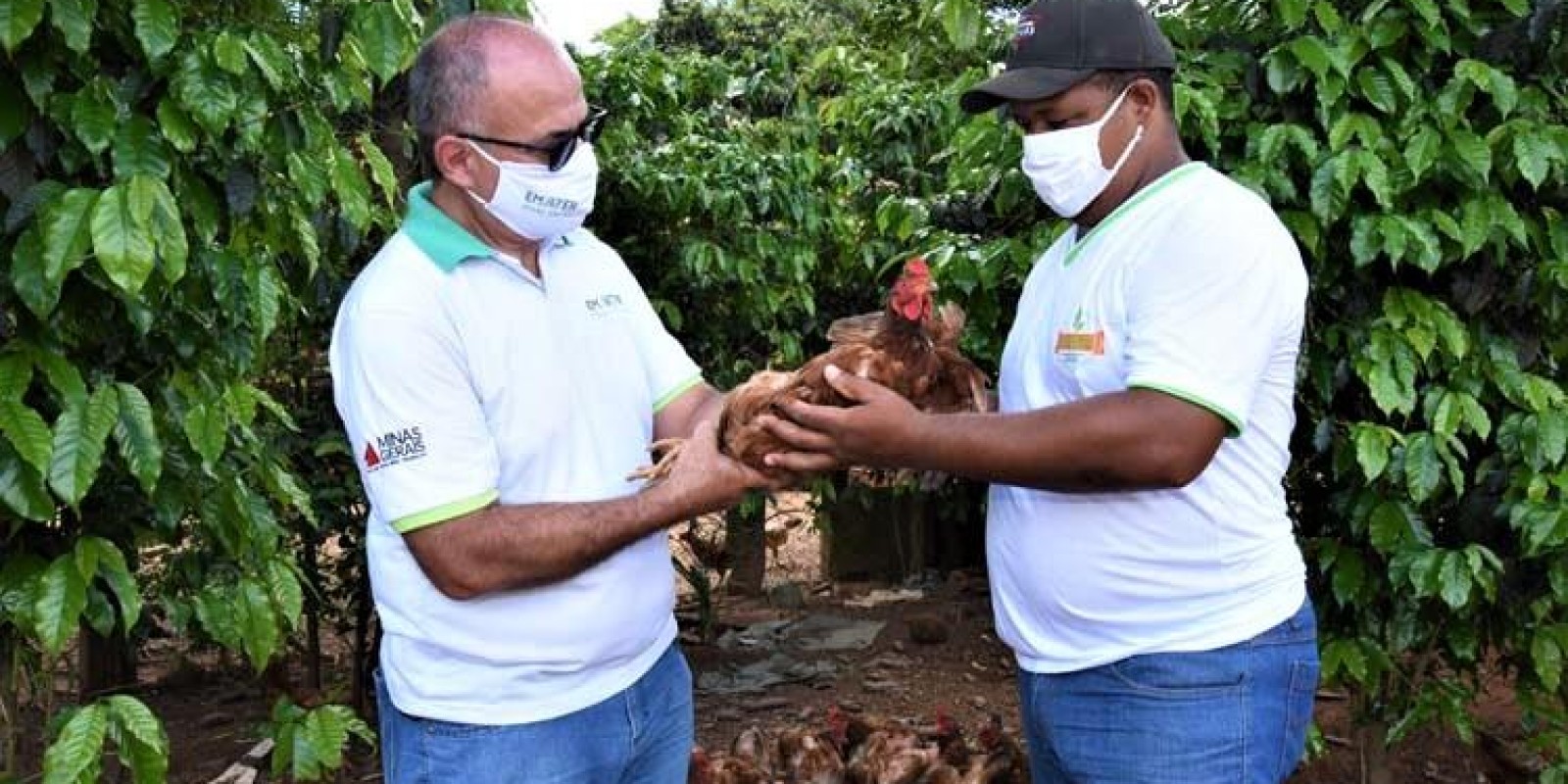 Prazo de validade da DAP é prorrogado por causa da pandemia