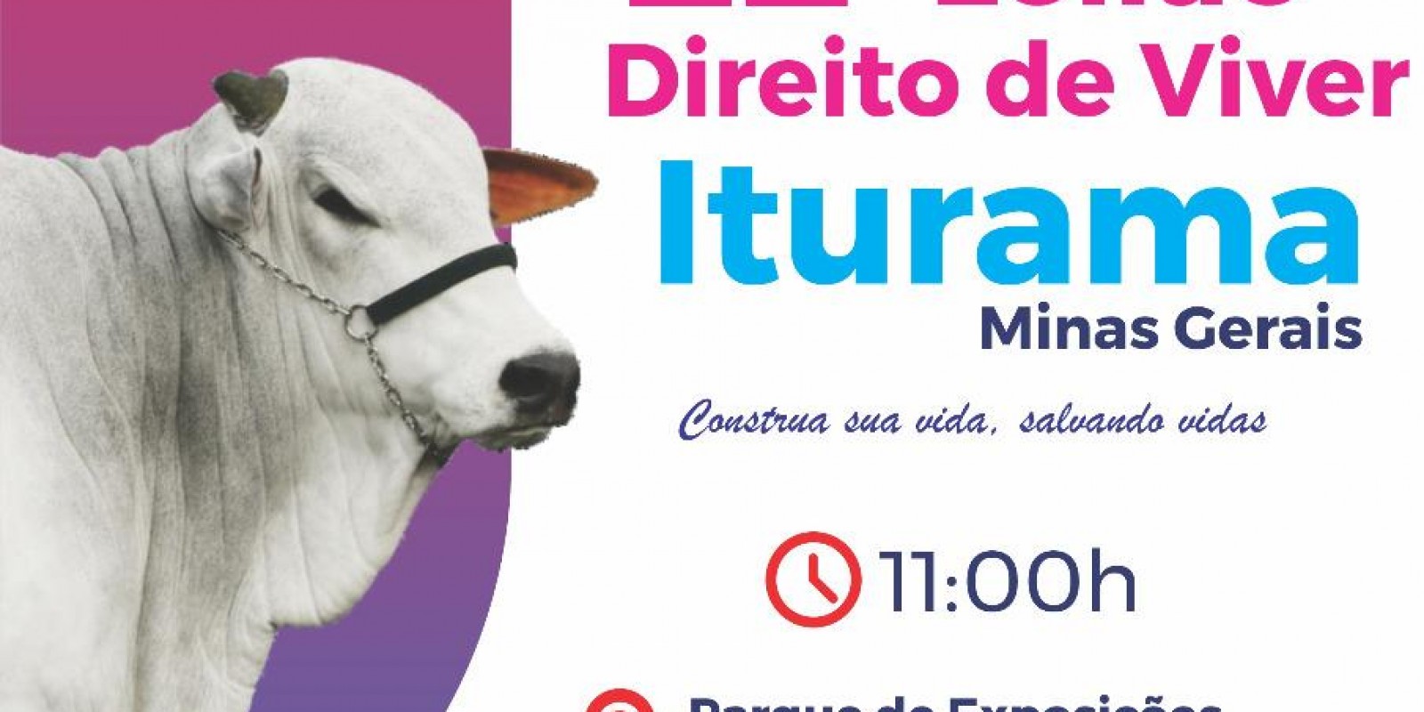 Venha prestigiar o 22º Leilão Direito de Viver