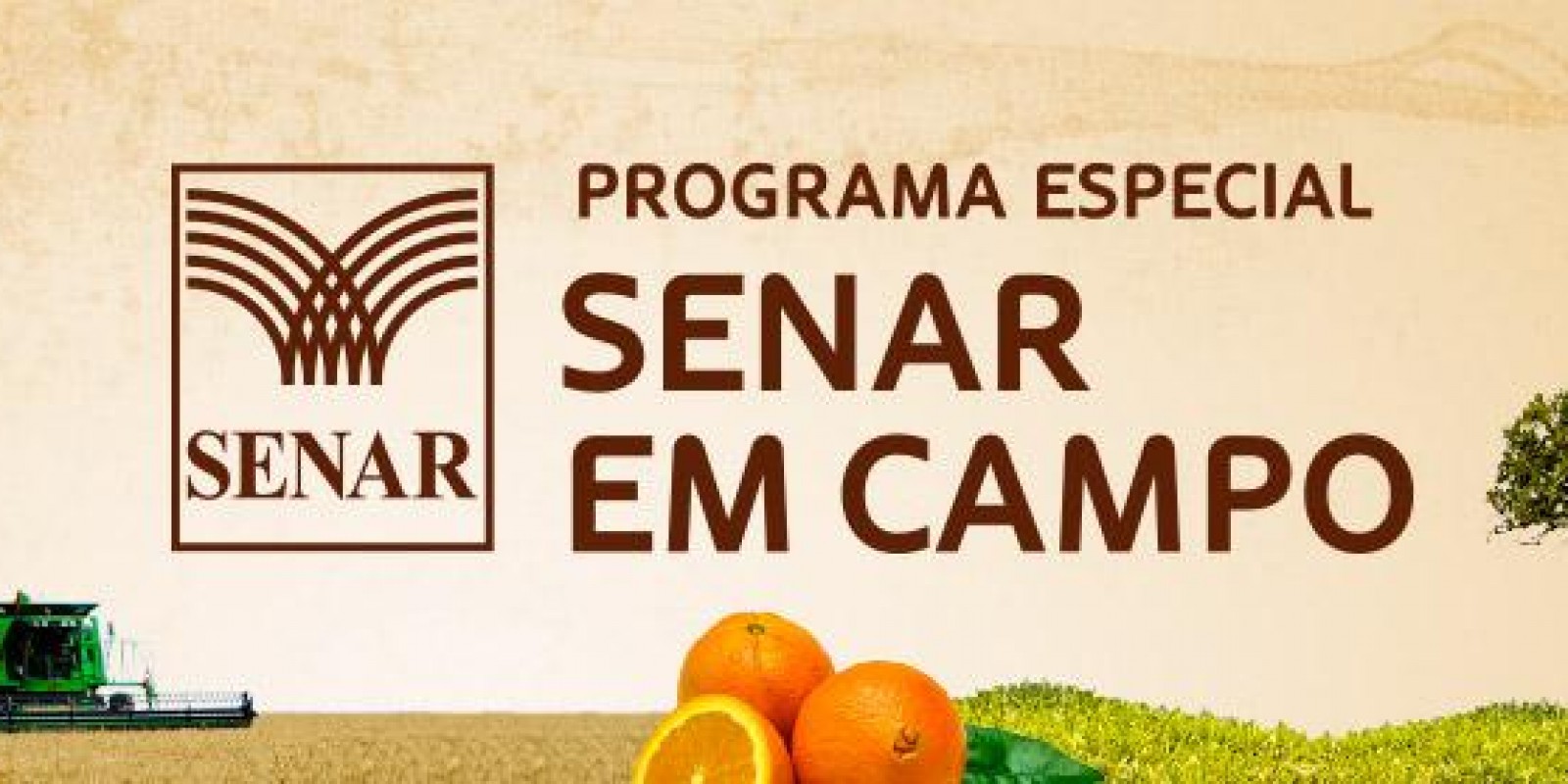 Aplicativo para celular facilitará acesso a vídeos técnicos de ATeG Aplicativo para celular facilitará acesso a vídeos técnicos de ATeG