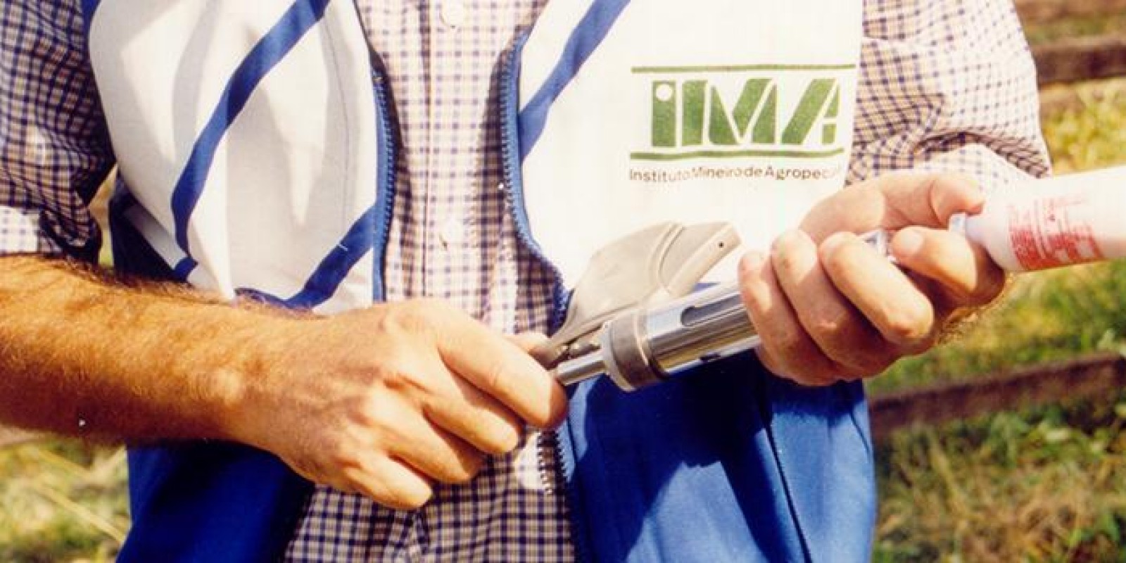 Declaração de vacinação contra febre aftosa para produtores com 150 ou mais bovinos e bubalinos será feita exclusivamente pela internet Declaração de vacinação contra febre aftosa para produtores com 150 ou mais bovinos e bubalinos será feita exclusivamente pela internet