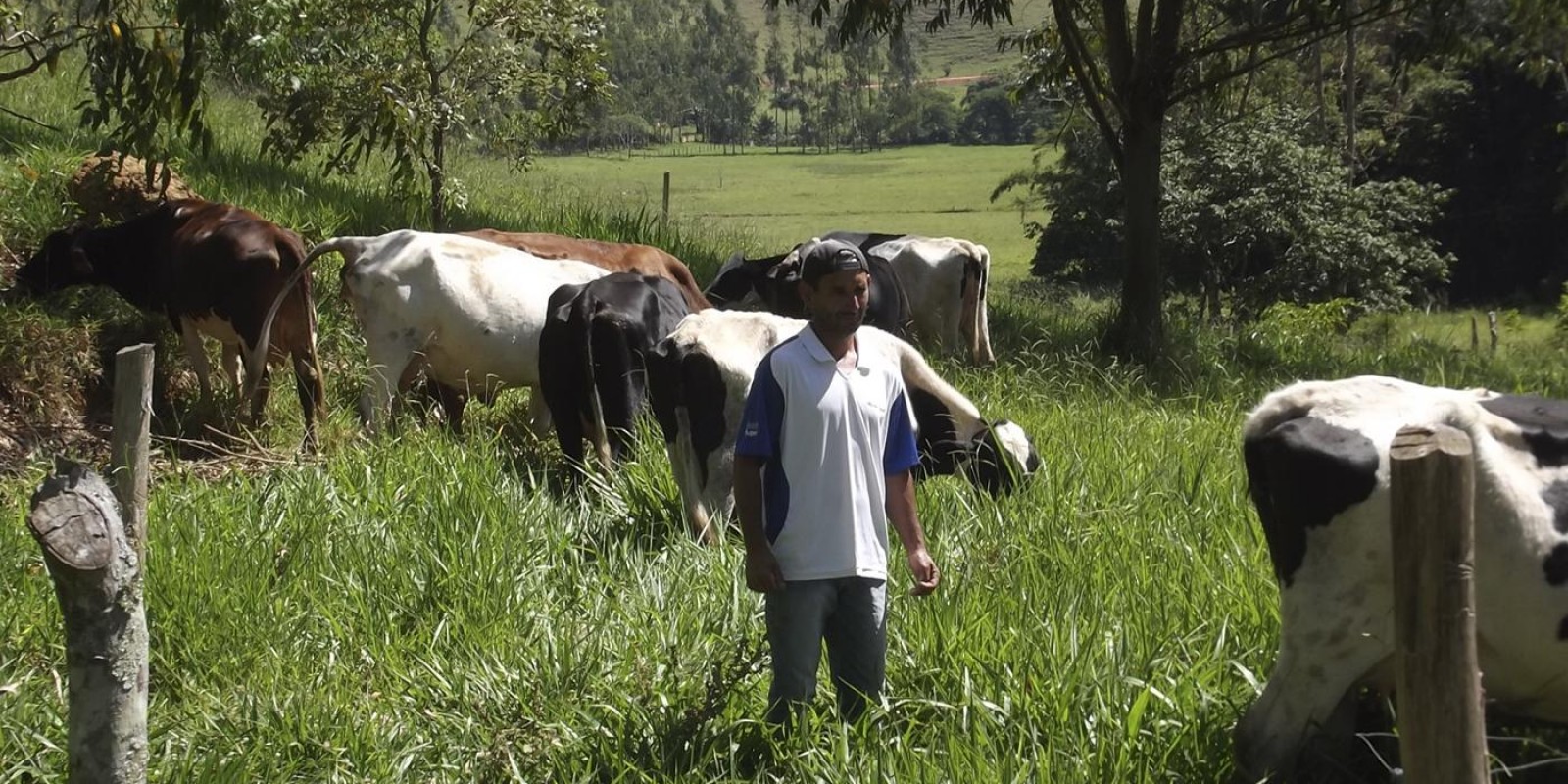Produtor familiar triplica renda após aumentar a produtividade do leite com ajuda da Emater-MG