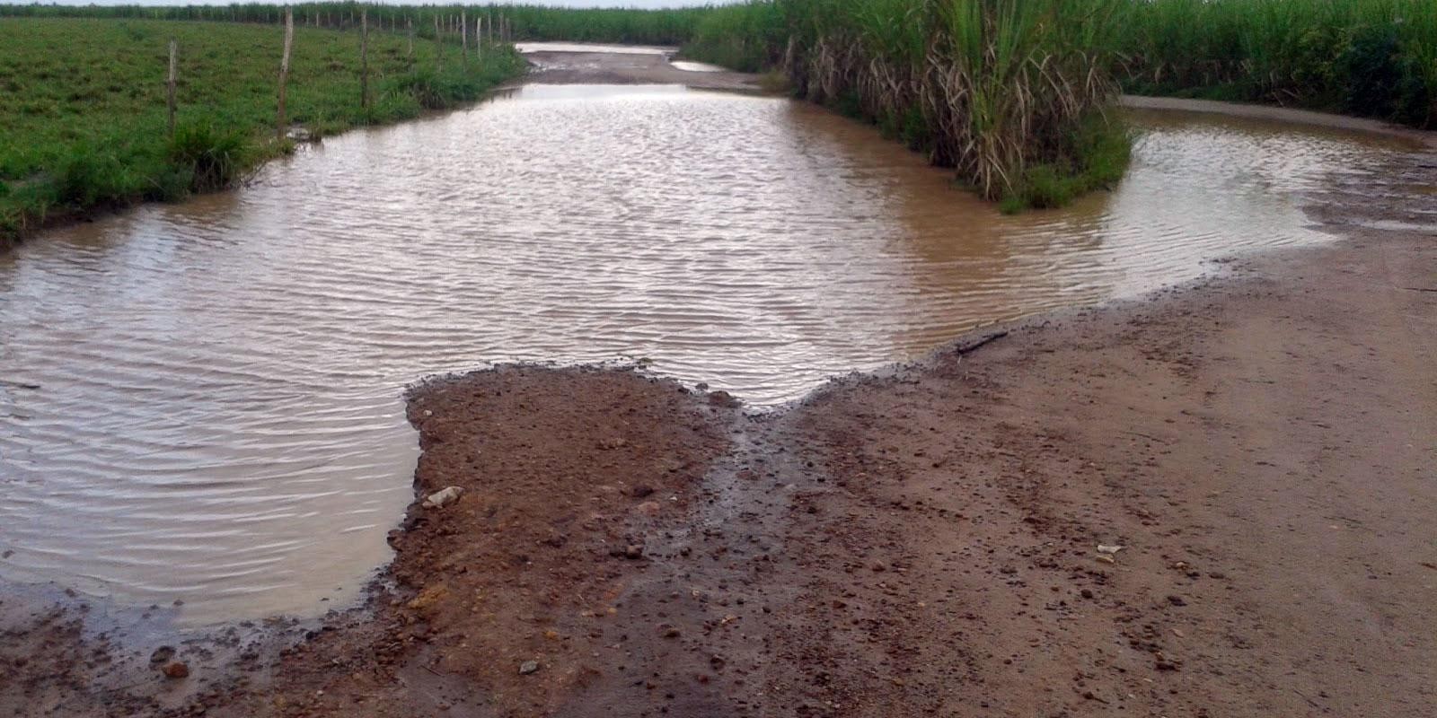 Excesso de chuva paralisa colheita de cana-de-açúcar em São Paulo
