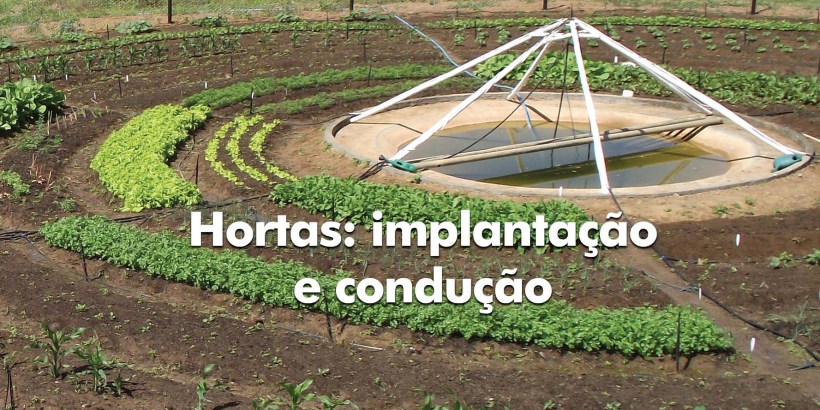 Produção de hortaliças em hortas urbanas e rurais