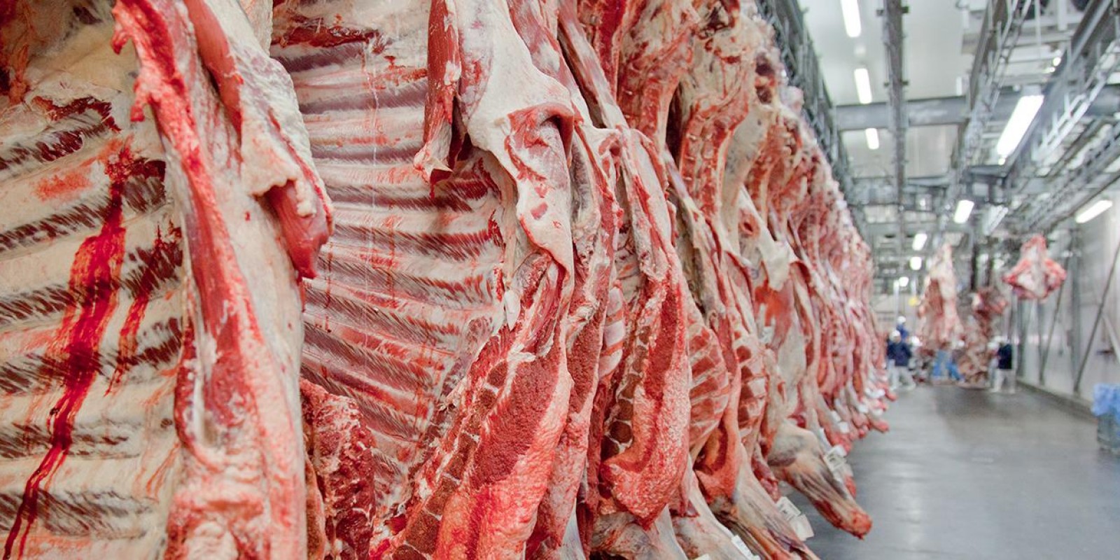 Cadeia da carne no país levará ao menos 18 meses para se reestruturar, diz gestora TCP