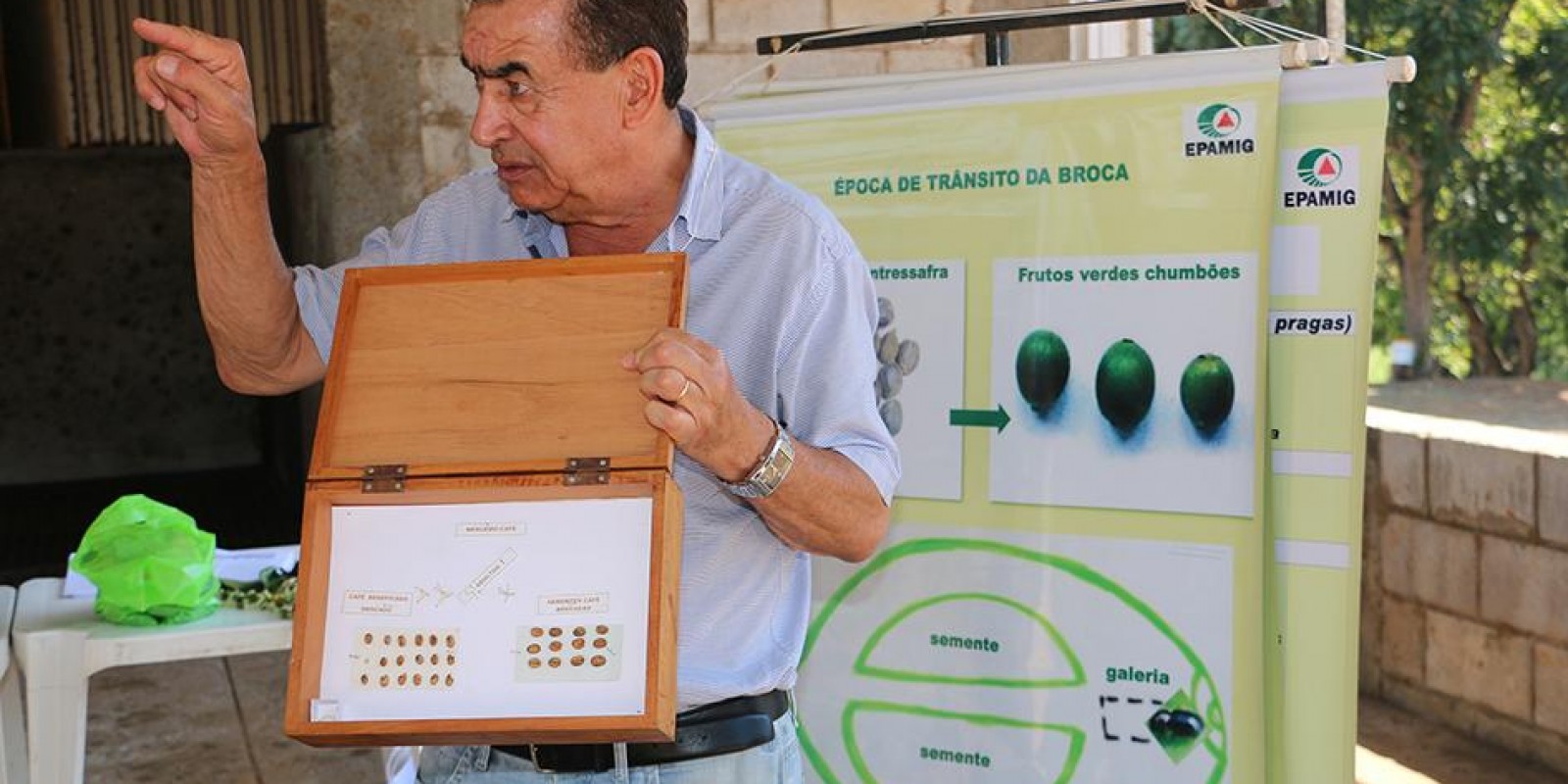 Dia de Campo destaca cuidados com a lavoura cafeeira e alternativas para a pecuária leiteira  Dia de Campo destaca cuidados com a lavoura cafeeira e alternativas para a pecuária leiteira