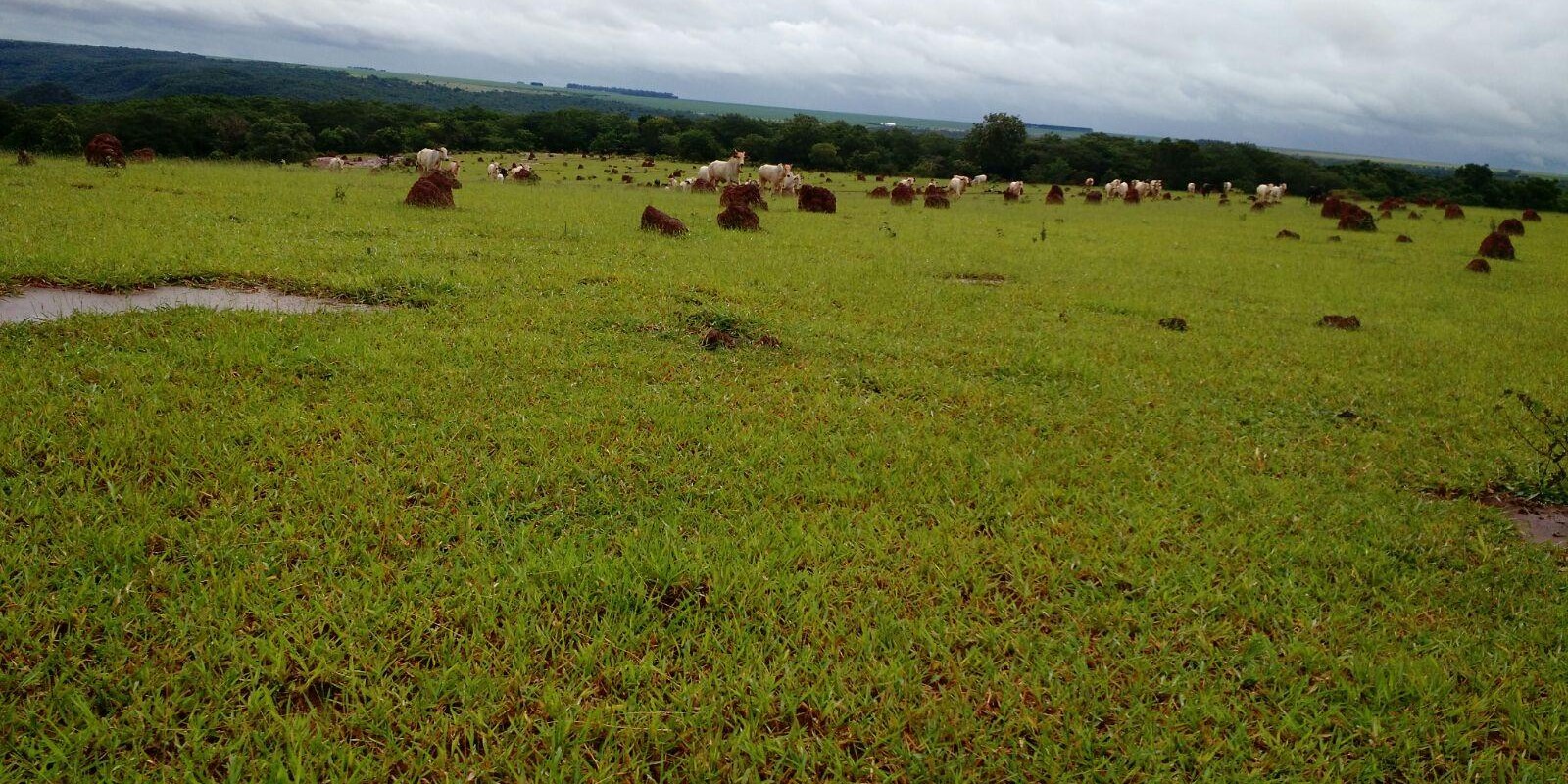 Saiba quais são os 4 principais indicadores de sucesso da sua propriedade Saiba quais são os 4 principais indicadores de sucesso da sua propriedade