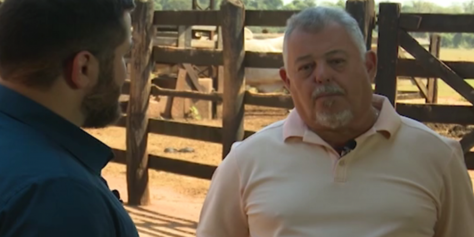 Professor da USP dá dicas para quem quer começar a investir na pecuária