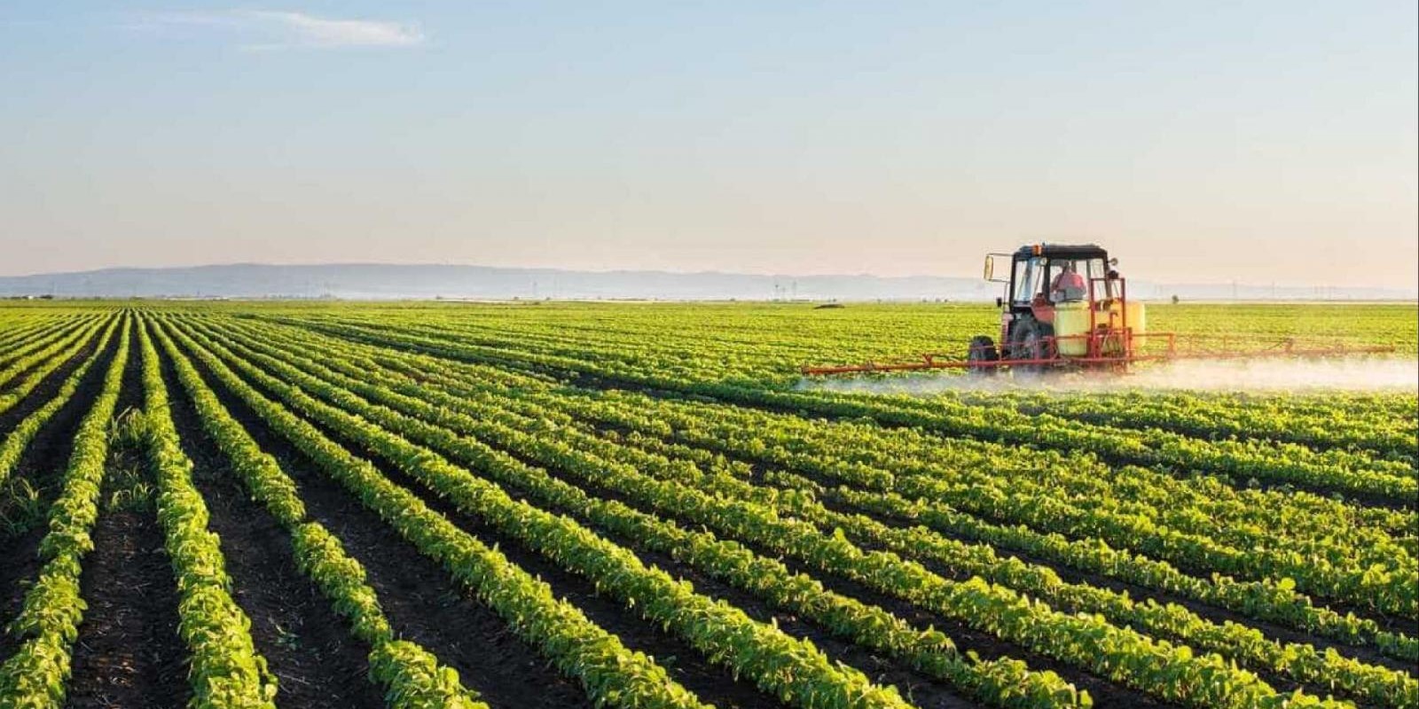 As 5 tendências da agricultura segundo a Bayer
