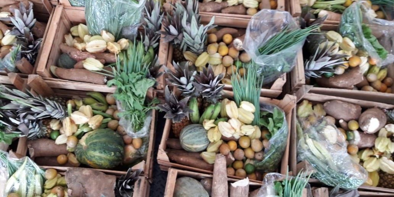 Programa de Aquisição de Alimentos gera oportunidade de renda para agricultores familiares do Vale do Jequitinhonha Programa de Aquisição de Alimentos gera oportunidade de renda para agricultores familiares do Vale do Jequitinhonha