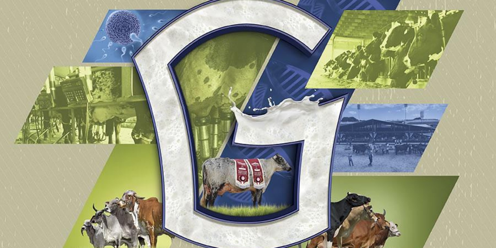 Megaleite 2018 terá curso de Queijo Minas Frescal e degustação comentada Megaleite 2018 terá curso de Queijo Minas Frescal e degustação comentada