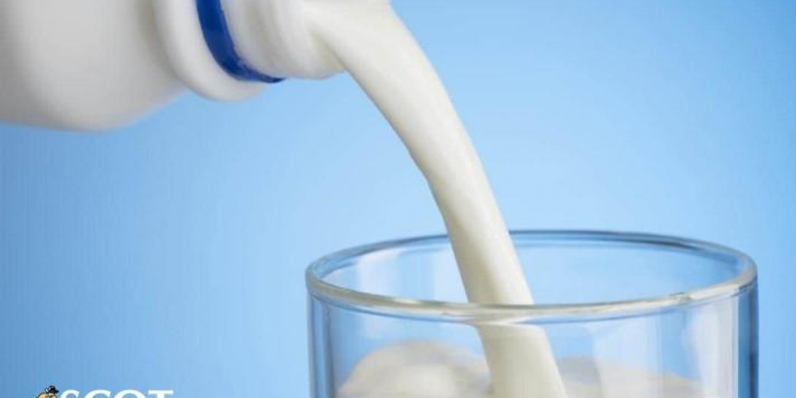 Recuos nas cotações do leite longa vida