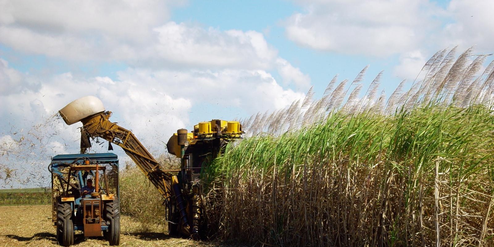 Endividamento de sucroenergéticas cresce 12,44% e supera R$ 100 bilhões, diz Archer Endividamento de sucroenergéticas cresce 12,44% e supera R$ 100 bilhões, diz Archer