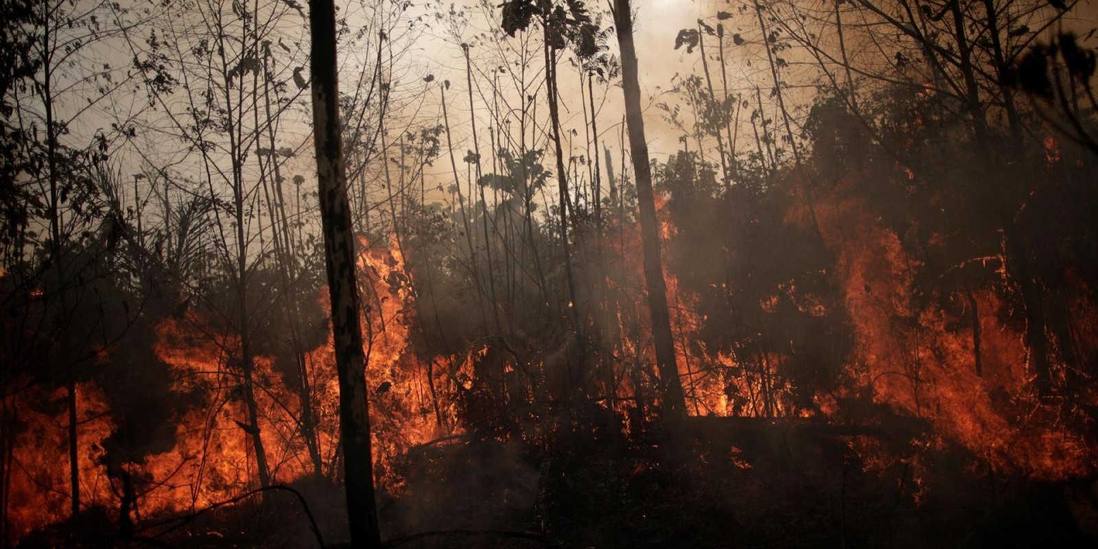 Uso do fogo fica proibido por 60 dias em todo território nacional Uso do fogo fica proibido por 60 dias em todo território nacional