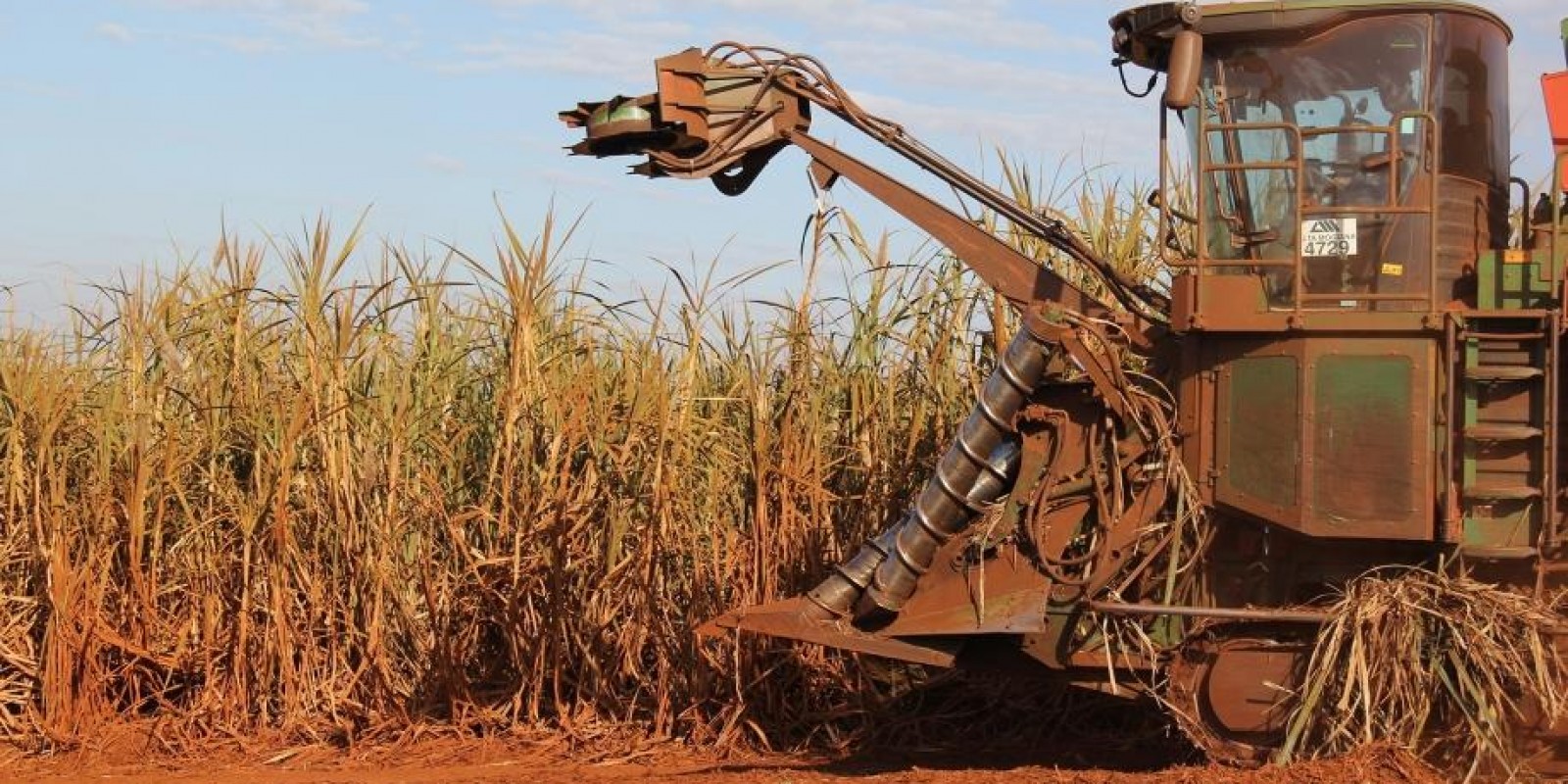 Semente artificial de cana Plene Emerald já foi plantada em 45 hectares e em janeiro de 2020 terá seu lançamento pré-comercial