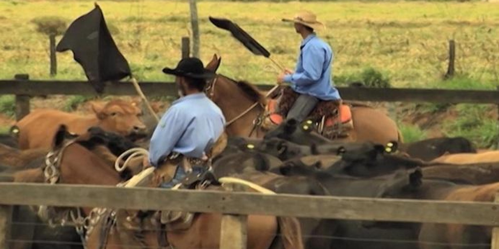 Benchmarking da gestão de pessoas vai ajudar pecuarista a reter talentos na fazenda Benchmarking da gestão de pessoas vai ajudar pecuarista a reter talentos na fazenda