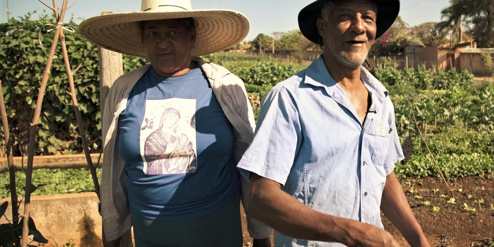 Agricultores familiares terão crédito de R$ 33 bilhões do Pronaf para a próxima safra Agricultores familiares terão crédito de R$ 33 bilhões do Pronaf para a próxima safra
