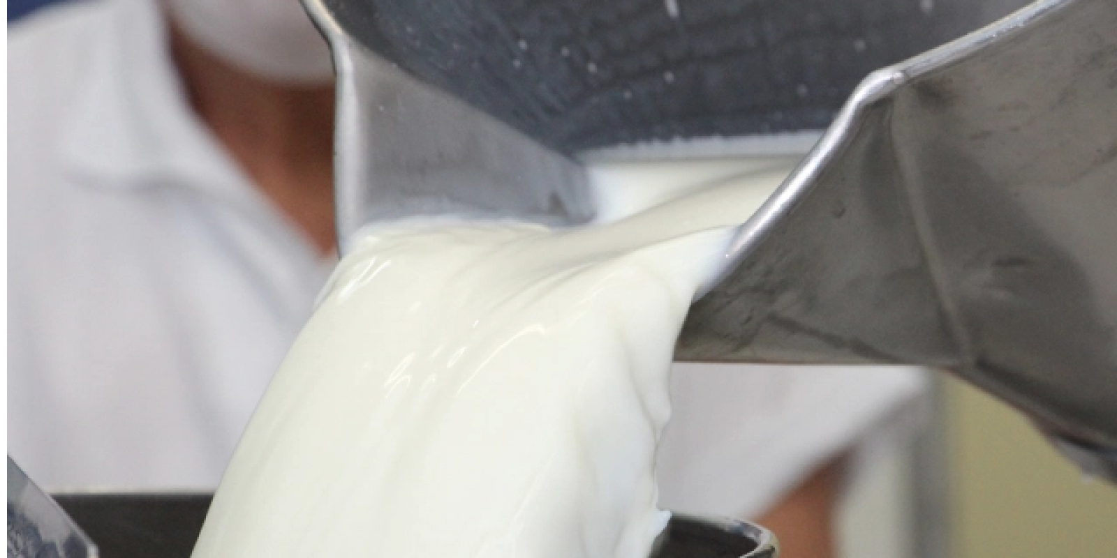 Projeto propõe metodologia para detectar perdas proteicas do leite cru refrigerado