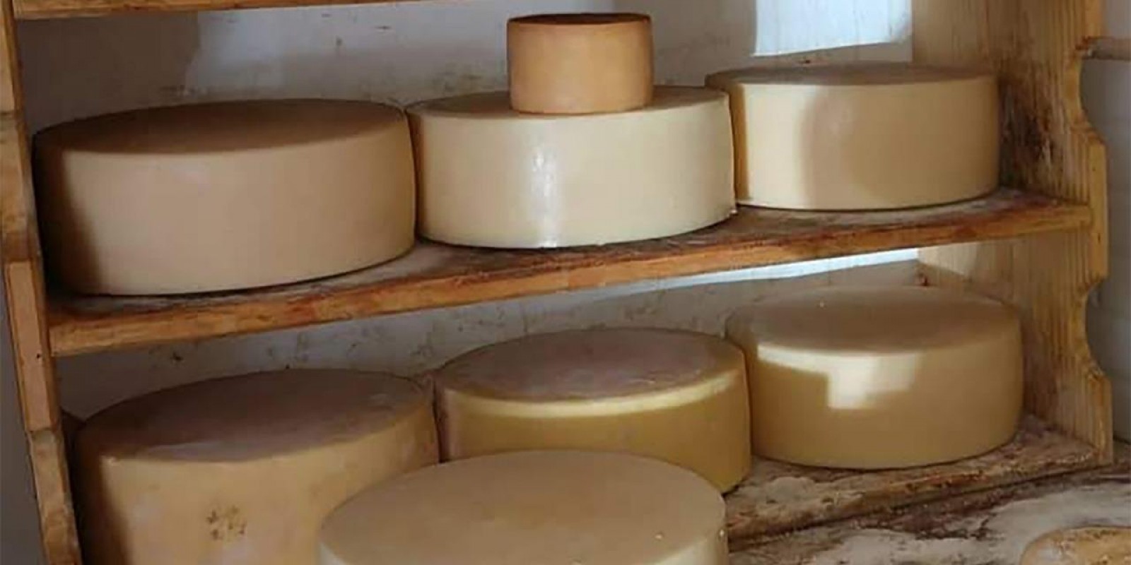 Regiões produtoras de queijos artesanais são reconhecidas pelo Governo de Minas