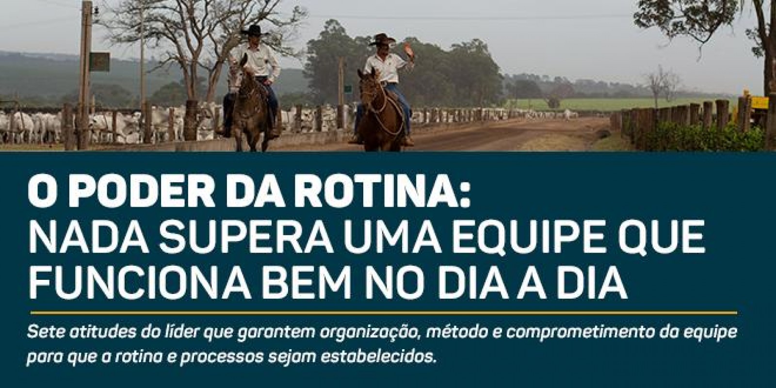 Carta Gestor - O poder da rotina: nada supera uma equipe que funciona bem no dia a dia Carta Gestor - O poder da rotina: nada supera uma equipe que funciona bem no dia a dia