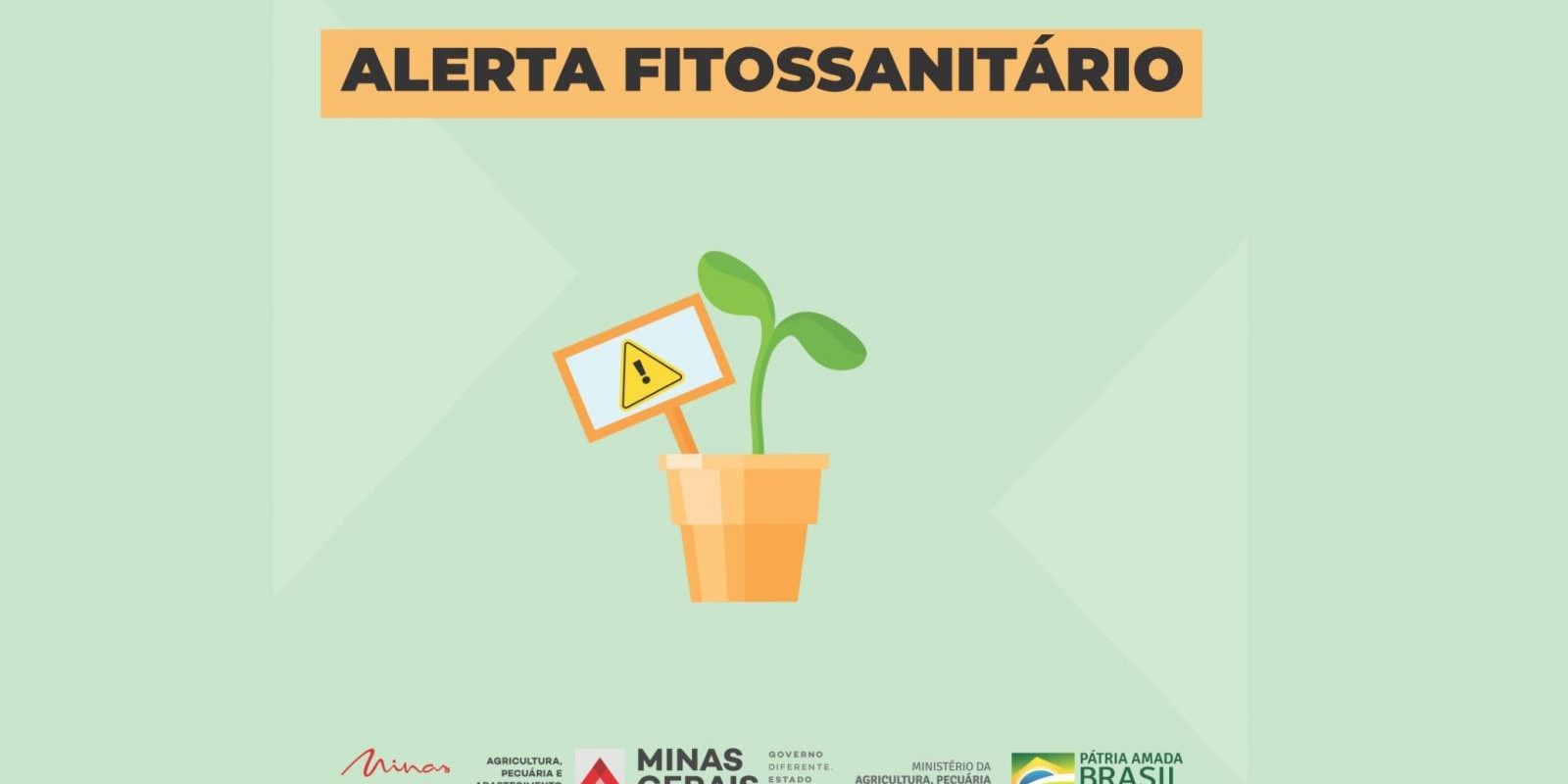 Saiba como proceder em caso de recebimento de sementes de plantas ou mudas não solicitadas Saiba como proceder em caso de recebimento de sementes de plantas ou mudas não solicitadas