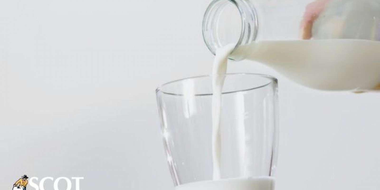 Expectativa de queda no preço do leite ao produtor em novembro