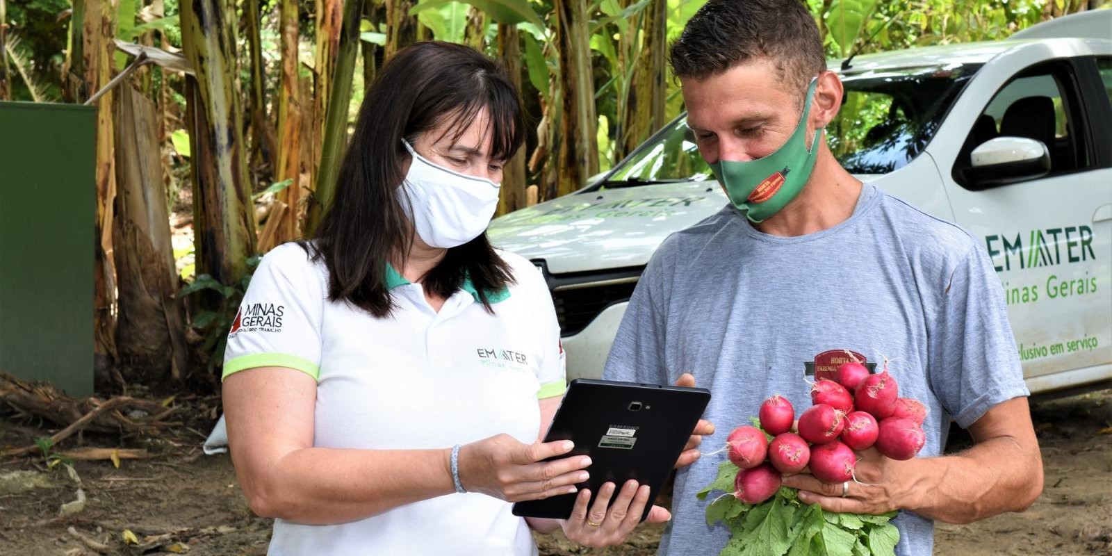 Atendimento remoto ganha espaço na assistência técnica e extensão rural Atendimento remoto ganha espaço na assistência técnica e extensão rural