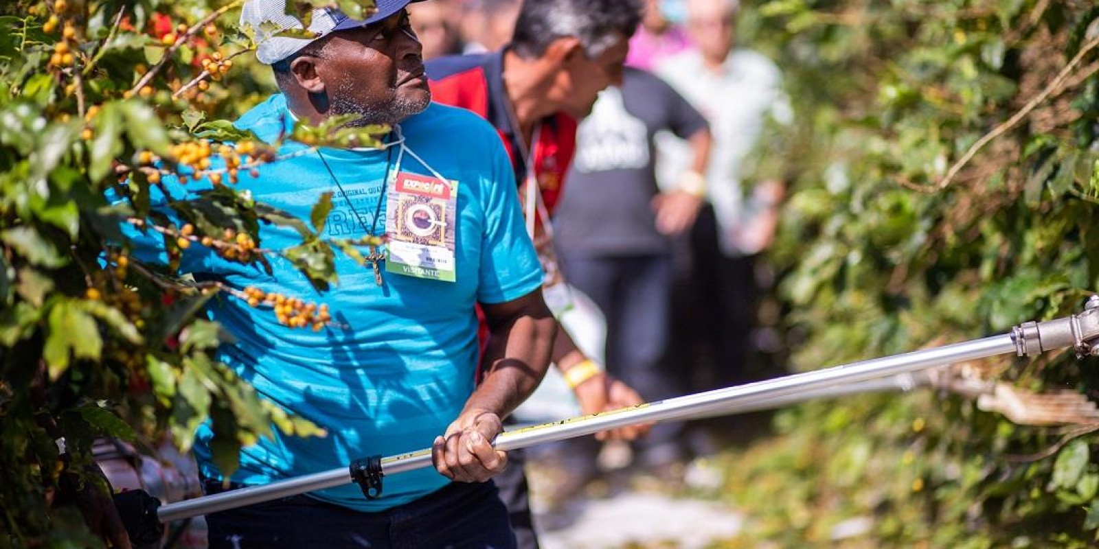 Expocafé 2021 terá estandes virtuais para apresentação de maquinários e produtos agrícolas Expocafé 2021 terá estandes virtuais para apresentação de maquinários e produtos agrícolas