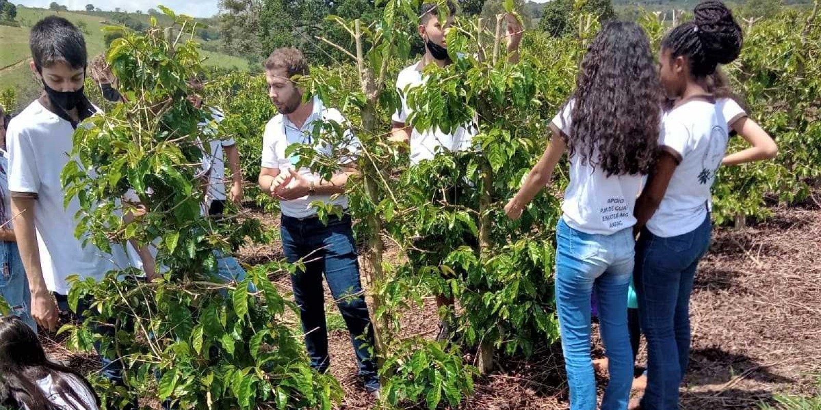 Emater-MG realiza capacitação em cafeicultura para jovens rurais