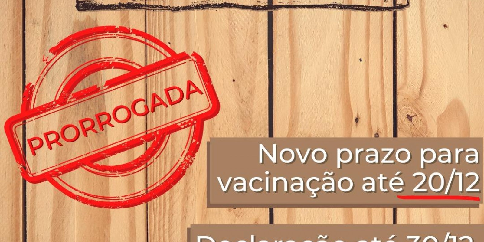 Vacinação contra febre aftosa em Minas é prorrogada até 20 de dezembro