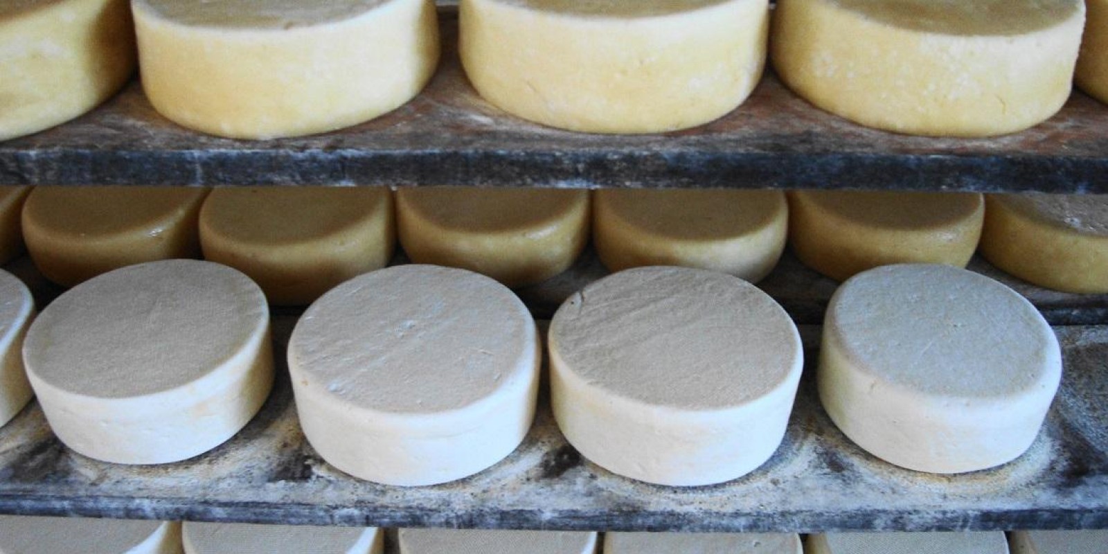 Epamig é parceira da CNA em concurso que vai eleger os melhores queijos artesanais do Brasil Epamig é parceira da CNA em concurso que vai eleger os melhores queijos artesanais do Brasil