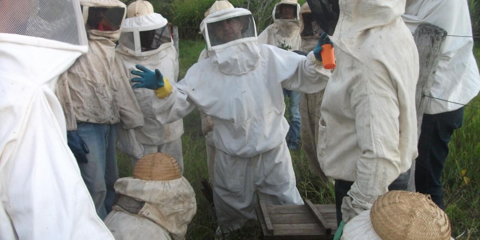Apicultores do Norte de Minas discutem novas oportunidades para o setor Apicultores do Norte de Minas discutem novas oportunidades para o setor