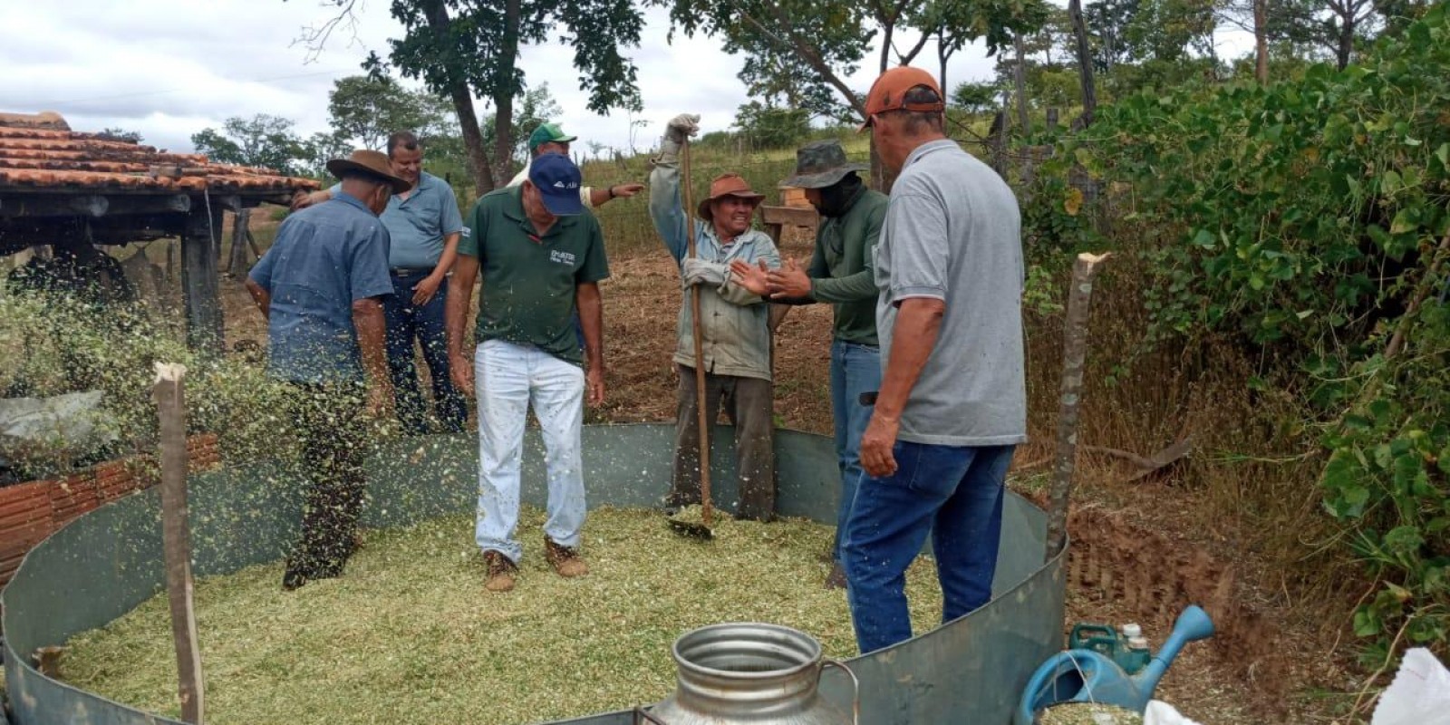 Emater-MG orienta produtores do Norte de Minas sobre alimentação do gado na época da seca