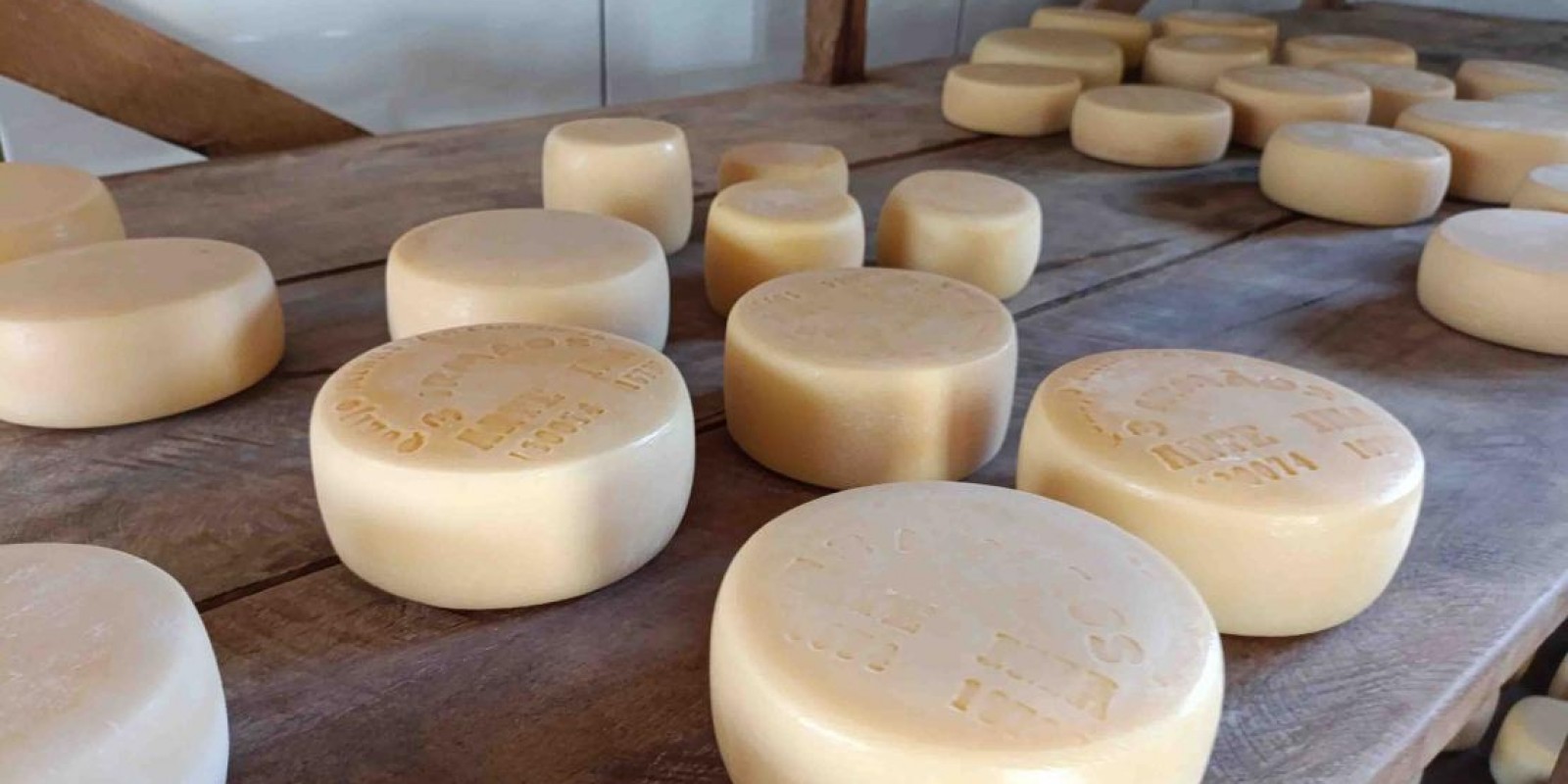 Queijarias com registro crescem 675% em Minas nos últimos cinco anos Queijarias com registro crescem 675% em Minas nos últimos cinco anos